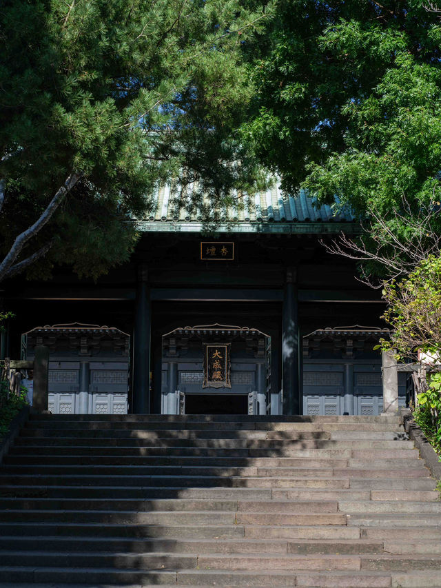 湯島聖堂🏛️ 日本最古の学問所で歴史を感じる