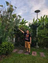 คาเฟ่  ไวแคนตัส นนทบุรี