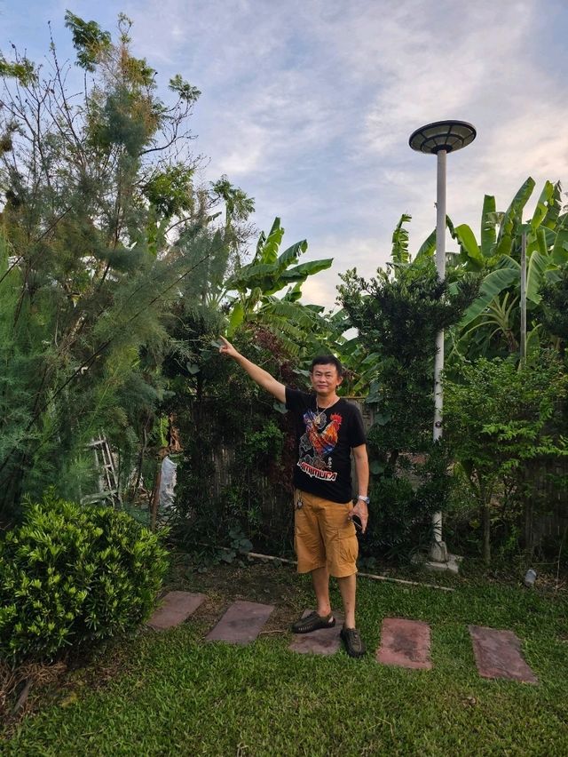 คาเฟ่  ไวแคนตัส นนทบุรี