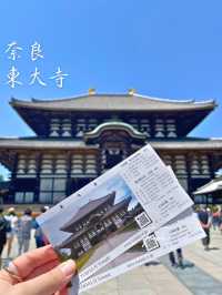 修学旅行の定番！奈良時代に造られた国宝✨奈良 東大寺