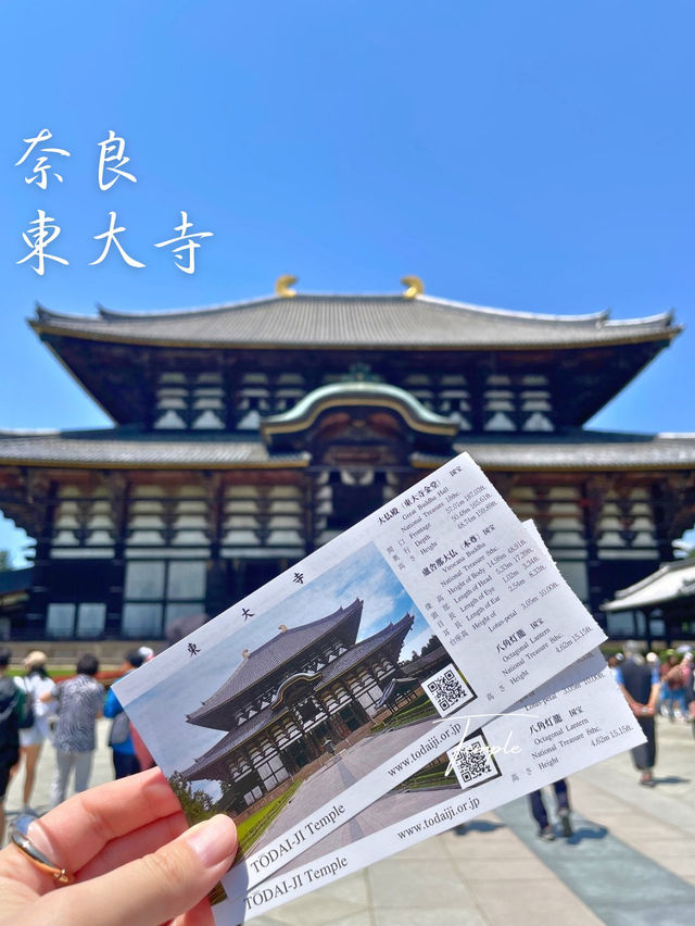 修学旅行の定番！奈良時代に造られた国宝✨奈良 東大寺