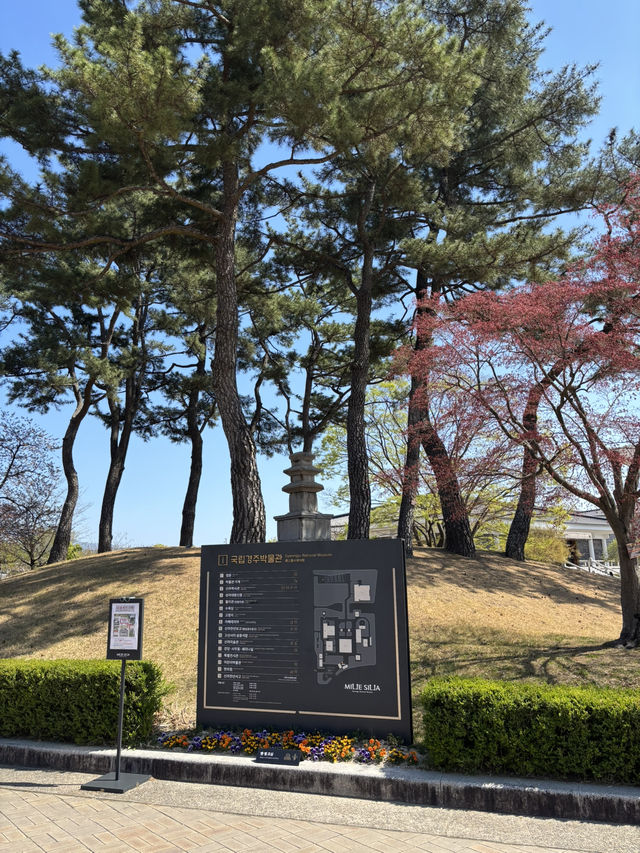 아이들과 가기 좋은 경주 국립박물관💙