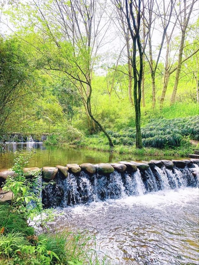 Maojiabu– Hangzhou's Rustic Waterfront Escape