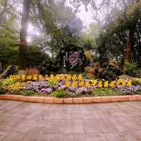 Blossoms and Tranquility: A Day at Hangzhou Botanical Garden