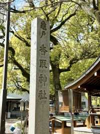 Spring Vibes at Kameido Katori Shrine