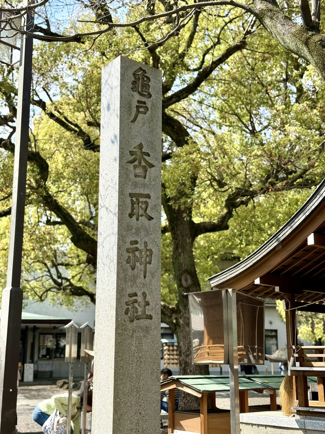 Spring Vibes at Kameido Katori Shrine