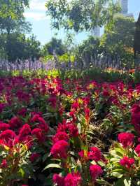 Strolling the Pearl River: Springtime Serenity in Guangzhou