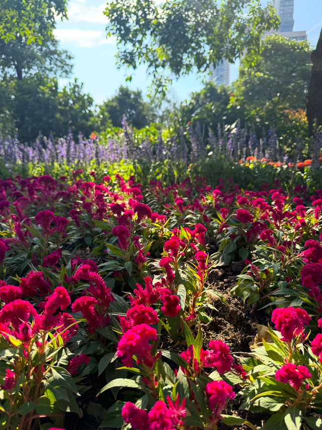 Strolling the Pearl River: Springtime Serenity in Guangzhou