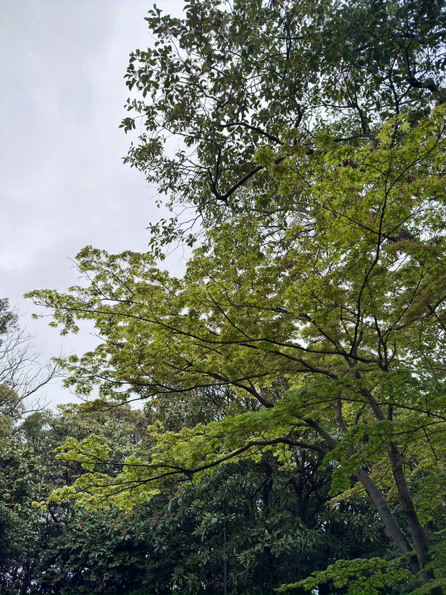 東京景點｜江戶川平成庭園