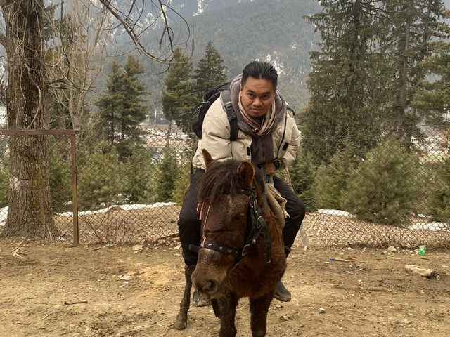 Magical Kashmir in Winter