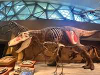 Shanghai Natural History Museum – A Journey Through Earth’s Wonders
