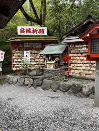 사랑❤️이 넘처나는 노노미야 신사⛩️ 연분을 맺어보세요! "Nonomiya Shrine"