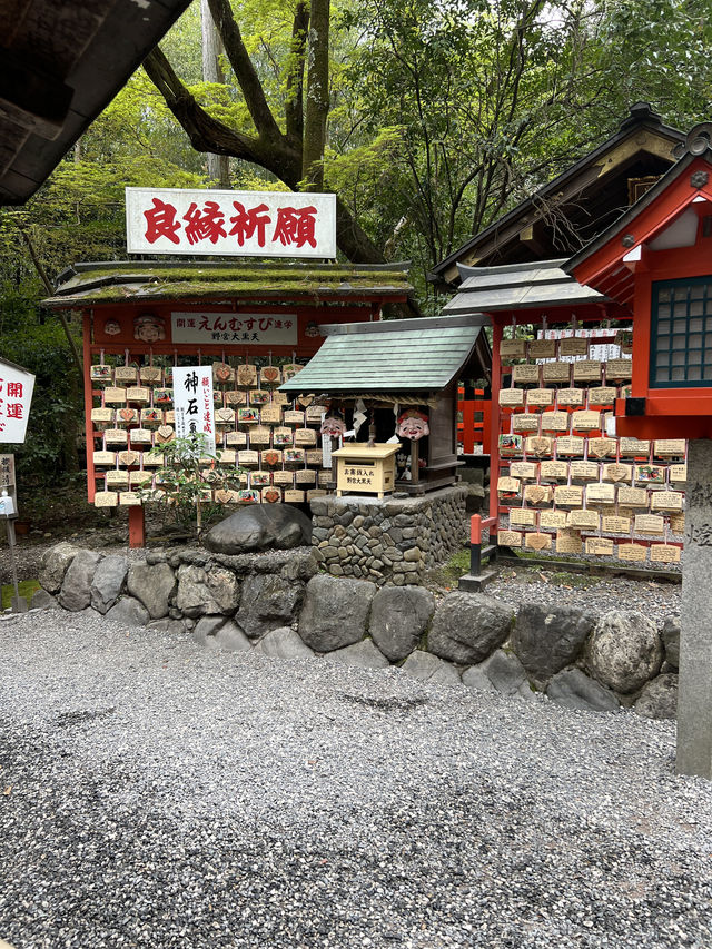 사랑❤️이 넘처나는 노노미야 신사⛩️ 연분을 맺어보세요! "Nonomiya Shrine"