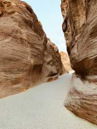 Spring into Petra: A Blooming Adventure Through Time