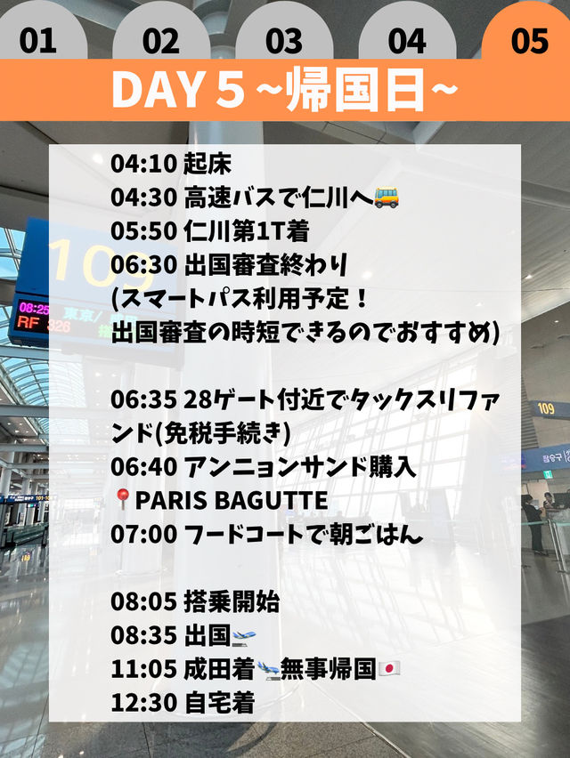 【韓国ひとり旅】4泊5日私の旅行プラン🇰🇷✨✈️