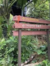 Into the Wild: Exploring Singapore’s Rainforest Wild Asia