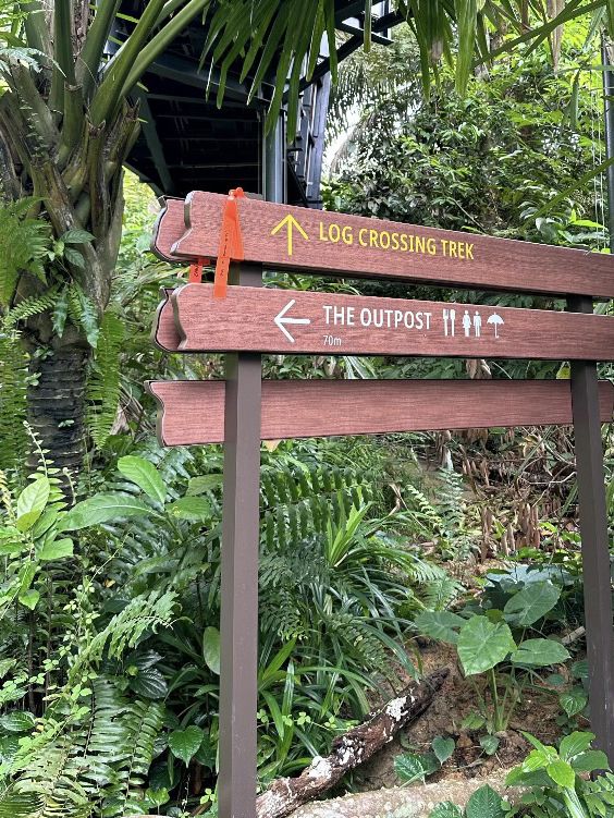 Into the Wild: Exploring Singapore’s Rainforest Wild Asia