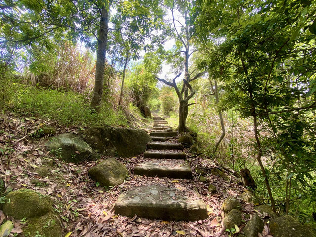 闖蕩漫步大埔滘✨🚶🏼 香港行山好去處✨