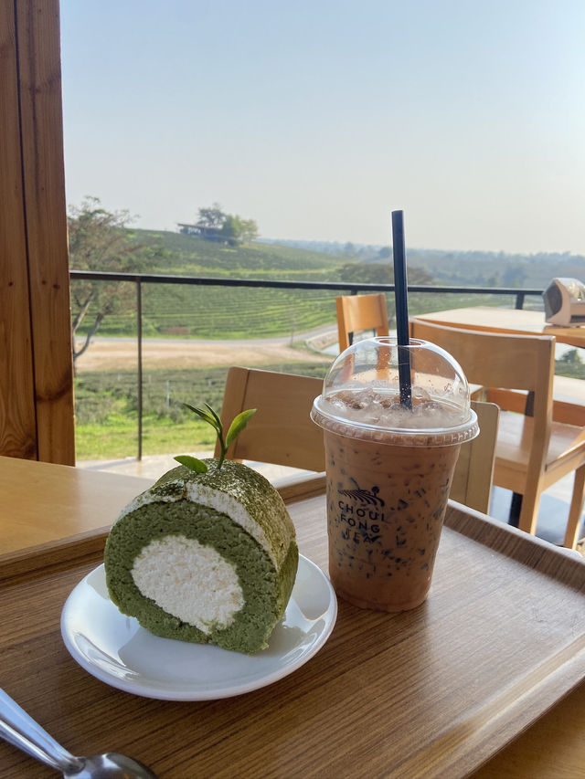 ☀️ หลบร้อนไปฟิน ไร่ชาฉุยฟง เชียงราย ⛰️