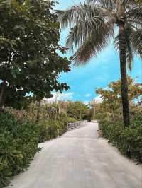 Waldorf Astoria Maldives Ithaafushi