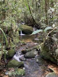 Kinabalu Geopark – UNESCO-Listed Mountain & Biodiversity Hotspot** 🏔️🌿  