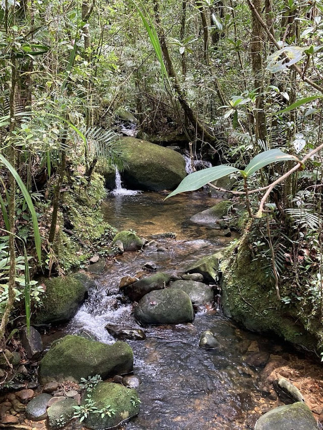 Kinabalu Geopark – UNESCO-Listed Mountain & Biodiversity Hotspot** 🏔️🌿  