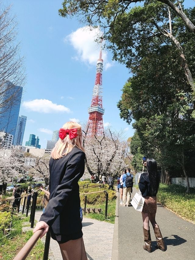  주술회전과 함께하는 도쿄 벚꽃여행🌸