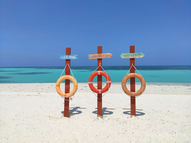 🏝️Mengalum Island: Sabah’s Secret Paradise (With a Side of Sunburn)🌴