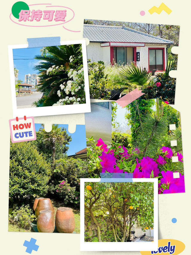 Blooming Bliss: A Spring Stroll Through Nonjinmul-ro 🌸