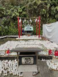 鎌倉充滿狐狸的神秘神社｜佐助稻荷大社！