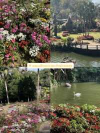 เชียงราย Chiang Rai