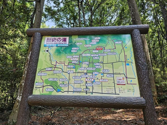 奈良~親親大自然，探訪可愛小鹿和歷史文化遺產的地方。