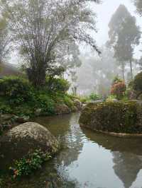 A Misty Escape – Japanese Village at Colmar Tropicale
