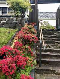 Spring Walk at Shōryūji-jō Castle Ruins