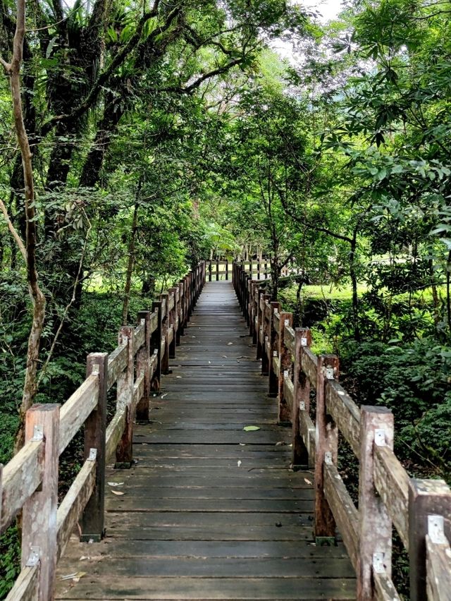 #福山植物園-新北市烏來區