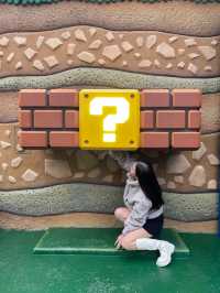 Super Nintendo World WOW!!!