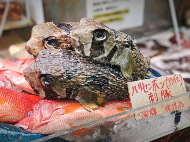🚀 沖繩旅遊全攻略｜潛水、美麗海水族館、萬座毛、燈塔打卡熱點 🌊