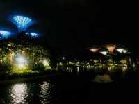 Visiting Gardens by the Bay: A Journey into Nature and Wonder 🌟