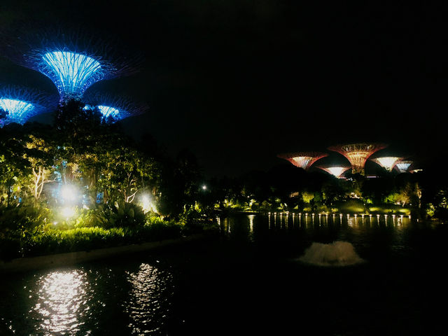 Visiting Gardens by the Bay: A Journey into Nature and Wonder 🌟