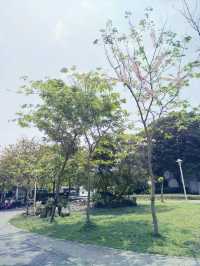 台北｜花博公園｜綠意盎然的城市綠洲