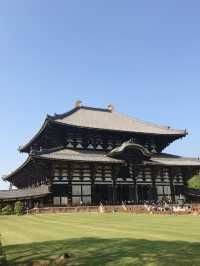 奈良の象徴「東大寺」—世界最大級の大仏と1300年の歴史に触れる旅へ 