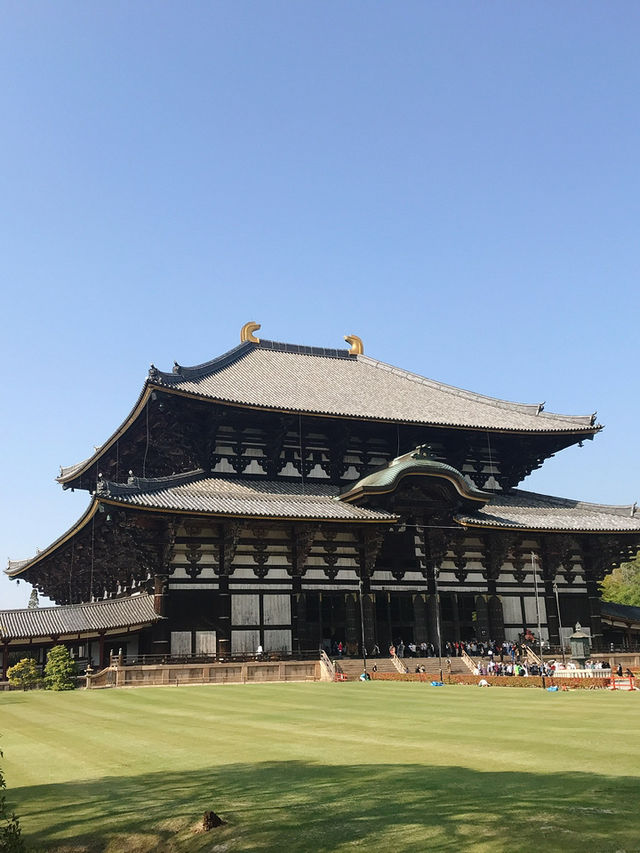 奈良の象徴「東大寺」—世界最大級の大仏と1300年の歴史に触れる旅へ 
