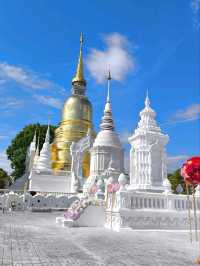 วัดสวนดอก 