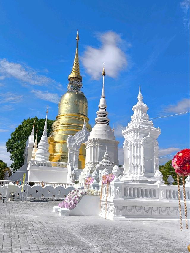 วัดสวนดอก 