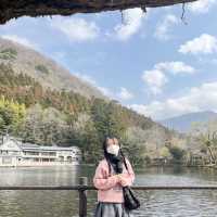사랑하는 사람들과 힐링하러 가야하는 일본 유후인💛