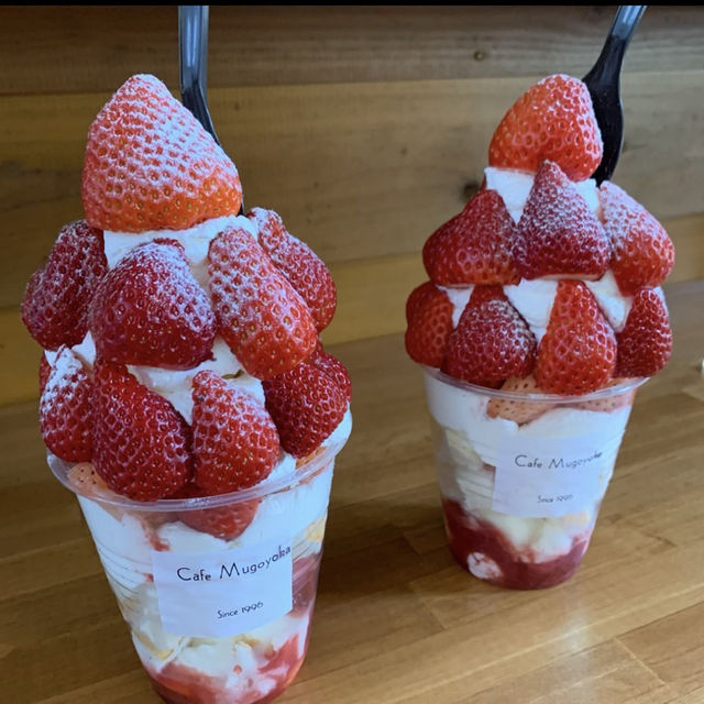 むごよか
