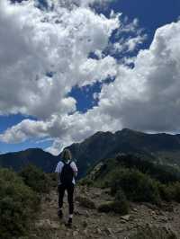 武陵出發登雪山東峰！百岳入門一日輕攻頂指南