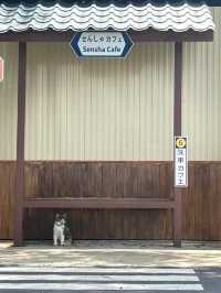 Sensha Cafe & Eatery Halal