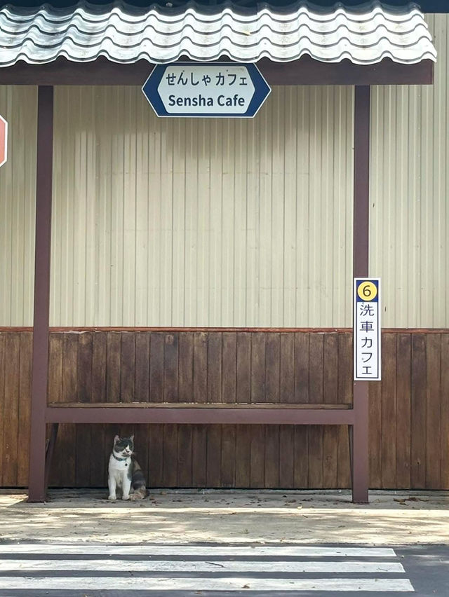 Sensha Cafe & Eatery Halal