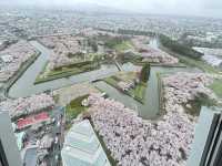 🌸函館必打卡！邂逅五棱郭公園絕美櫻海